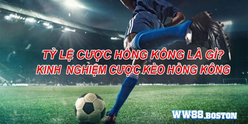 Hướng dẫn cách chọn và tính tiền kèo Hong Kong