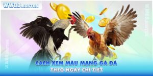 Hướng Dẫn Cách Xem Màu Mạng Gà Đá Theo Ngày Chi Tiết 