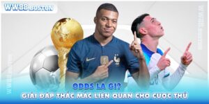 Odds Là Gì? Giải Đáp Những Thắc Mắc Liên Quan Cho Cược Thủ